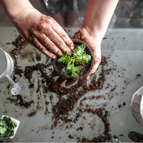 Tuintips