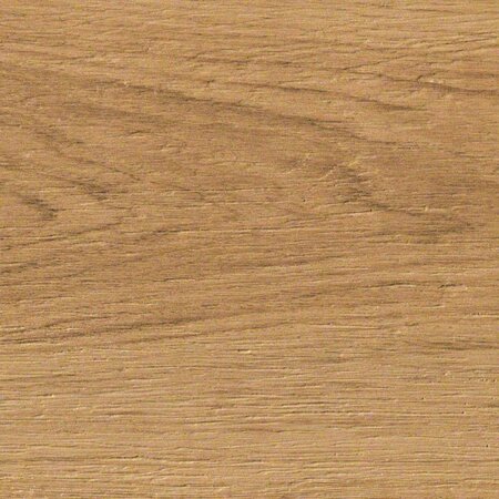 Etic Pro Rovere Venice