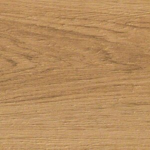 Etic Pro Rovere Venice