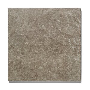 GeoProArte® Anticum Arena