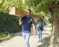 Palen en planken